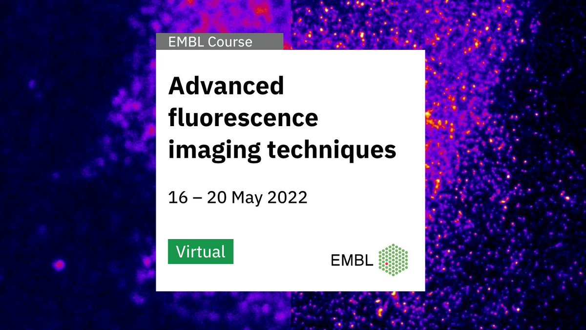 ⏰Only a few days left to apply for #EMBLFluorImaging! Learn all about advanced light #microscopy techniques with <a href="/embl/">EMBL</a> and @OlympusLifeSci experts🔬
🗓️ 16 – 20 May
📥 Apply by 30 Mar
🌐 s.embl.org/mic22-02