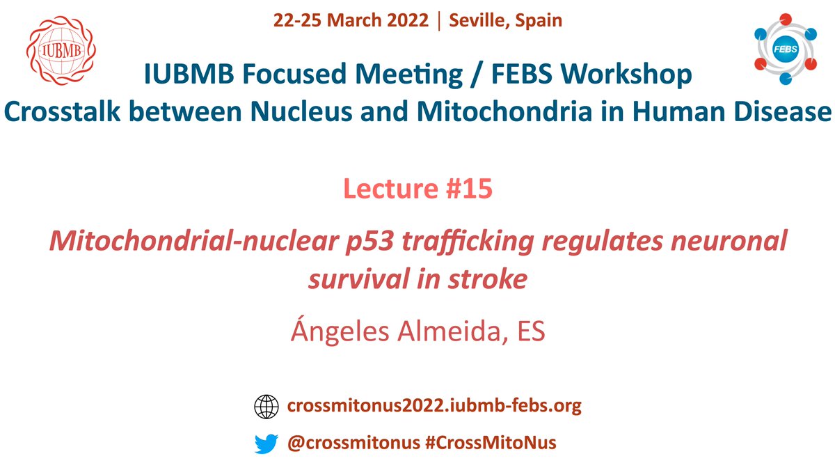 crossmitonus's tweet photo. Lecture #15:

👩Ángeles Almeida

Institute for Functional Biology and Genomics (IBFG),
Salamanca, Spain

🗓️FRIDAY March 25
🕡11:30h

#CrossMitoNus https://t.co/ijBZzlEjRo