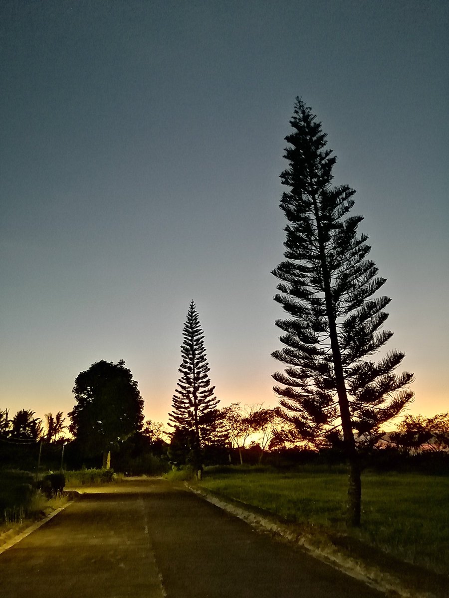 YoRexieBoy's tweet photo. What a crazy work week. It ain't over yet actually, but I wanted to share a moment which reminded me that there's more to life than "just work." This was just so beautiful to look at. #nofilter #Rexisms https://t.co/GlV9SUuScB