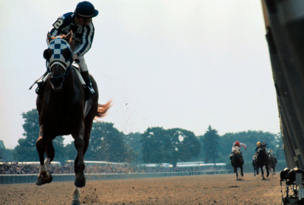World Horse Racing tweet media