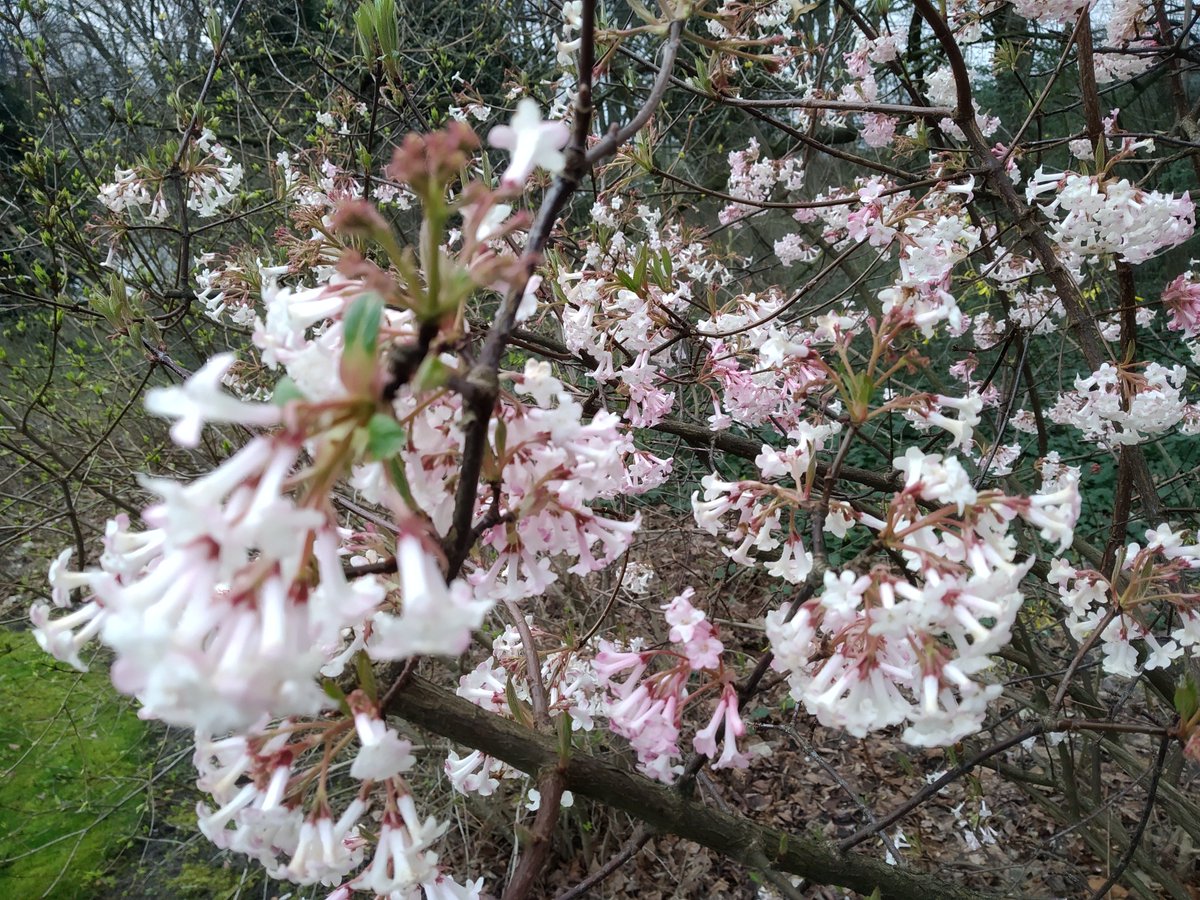 Was wünscht Du Dir im Leben zu finden? Sehnst Du Dich nach mehr innerer Ruhe, Glück, Zufriedenheit, Liebe, Erfüllung, Berufung, Gesundheit und-oder Harmonie? 
Entdecke, was dafür der 1. Schritt ist und beginne gleich damit :-)
gluecklich.maerchenhaft-leben.de/lebensziel/
