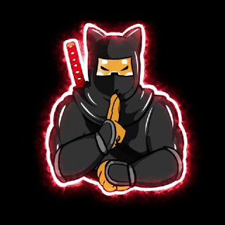 ninja_shinja's tweet photo. @okx @Catcoinbsc @MiloInu @ShibaPredator1 @BscPitbull @bitgertbrise @InuSaitama @Shib_nobi #Shinja @Shib_nobi LFG https://t.co/bDaq2GYTVQ