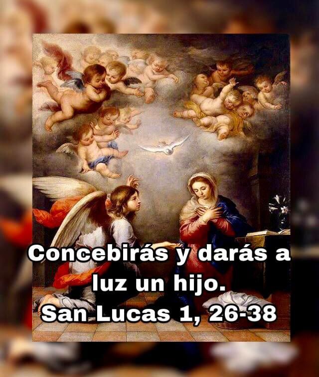 PeaOje1's tweet image. Solemnidad  de la anunciacion del Señor⚘