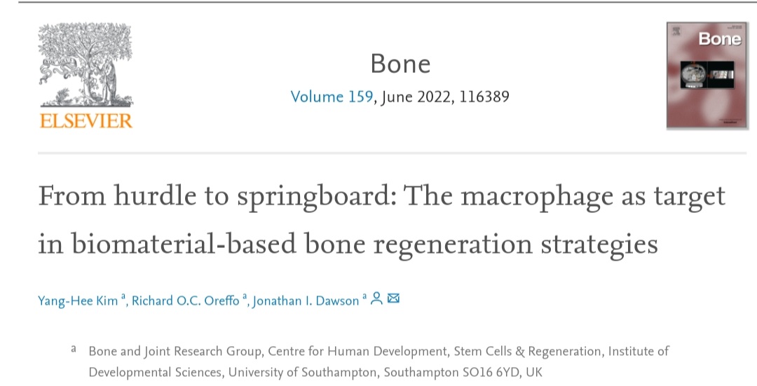 Yanghee Kim (@dryangheekim) on Twitter photo Excited to share our latest paper on a role of #macrophages in #bone #regeneration and discussing recent #biomaterial and drug delivery approaches that target macrophage modulation with the goal of accelerating and enhancing bone tissue regeneration.<a href="/NanoclayGroup/">TheNanoclayGroup</a> <a href="/UoS_Medicine/">Southampton Medicine</a> Excited to share our latest paper on a role of #macrophages in #bone #regeneration and discussing recent #biomaterial and drug delivery approaches that target macrophage modulation with the goal of accelerating and enhancing bone tissue regeneration.<a href="/NanoclayGroup/">TheNanoclayGroup</a> <a href="/UoS_Medicine/">Southampton Medicine</a>