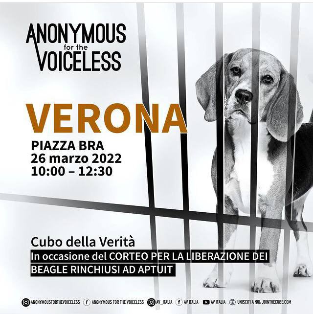 Ale6altrove's tweet photo. A #Verona il #26marzo ore 10 - 12.30 Cubo della Verità di #AnonymousForTheVoiceless e manifestazione per liberare i #beagle rinchiusi all’#Aptuit 💔 https://t.co/Sf3kY9EYDJ