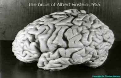 yogesh_jog's tweet photo. @JannaLevin Do we also need this to read it? https://t.co/6PT4eWPS7x