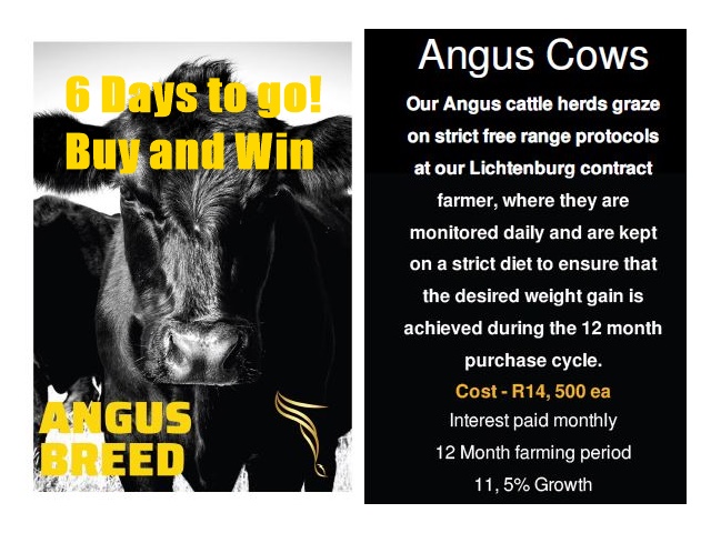 Bitfarming1's tweet photo. Stand a chance to win an Angus Cow, BitSheep and or a
Frika Token! Buy one of our packages and stand a chance to win the same. Become part of the Bitfarming family today, earn 11,5% profit on you investment and stand a chance to win! Learn more: https://t.co/9HNTbrZlBA https://t.co/kUDYjYzs7H