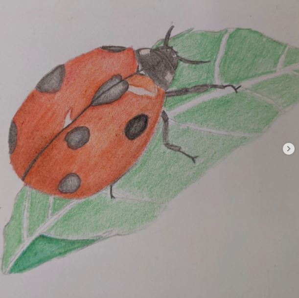 CoDA_Sinfin's tweet photo. Some lovely colour blending insects for our year 9 Science in Nature project.
#colour #colourblending #scienceinnature #scienceinart https://t.co/YRzhzuzI2z