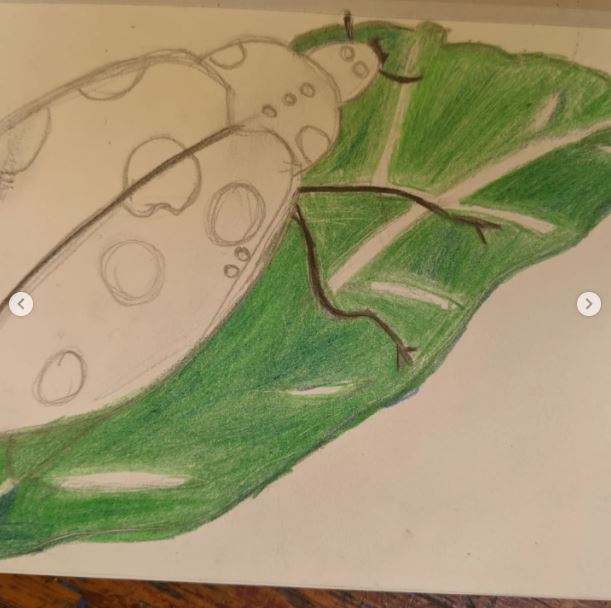 CoDA_Sinfin's tweet photo. Some lovely colour blending insects for our year 9 Science in Nature project.
#colour #colourblending #scienceinnature #scienceinart https://t.co/YRzhzuzI2z