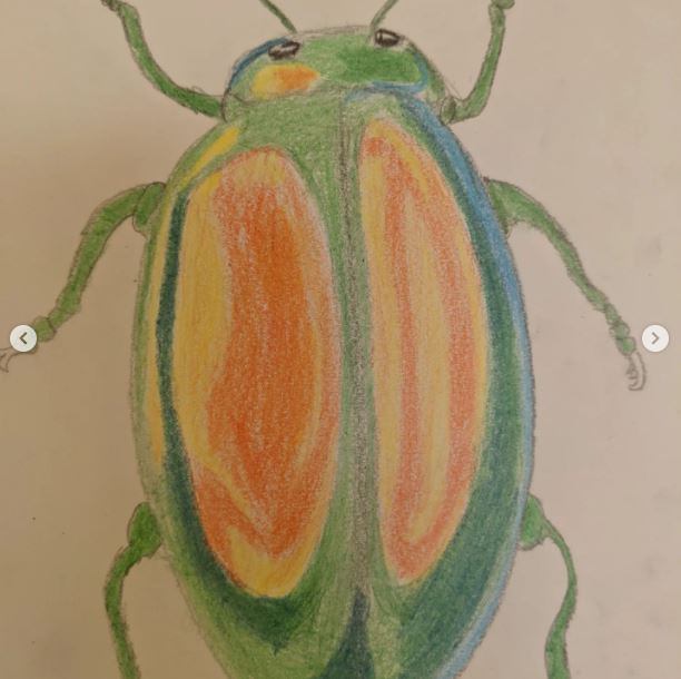CoDA_Sinfin's tweet photo. Some lovely colour blending insects for our year 9 Science in Nature project.
#colour #colourblending #scienceinnature #scienceinart https://t.co/YRzhzuzI2z