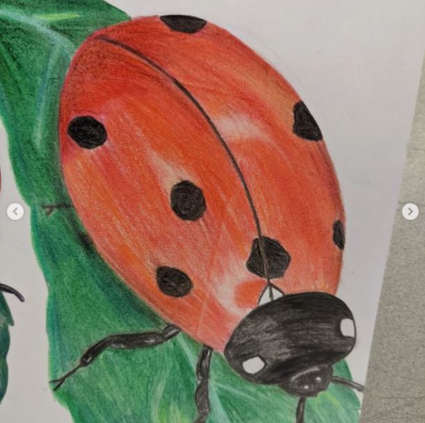 CoDA_Sinfin's tweet photo. Some lovely colour blending insects for our year 9 Science in Nature project.
#colour #colourblending #scienceinnature #scienceinart https://t.co/YRzhzuzI2z