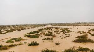 Center for Climate-smart Pastoralism (@cspsomalia) on Twitter photo #celebration as the long waited rains come before its time in the central #Somalia
<a href="/abdiah_a/">Abdiah Lalaikipian</a>
<a href="/WorldPastoral/">World Pastoralist Forum (WPF)</a> <a href="/PASTRES_erc/">Pastoralism & Uncertainty</a> <a href="/pastoral_herit/">Pastoralist Heritage Development Alliance</a>
<a href="/pastoral_herit/">Pastoralist Heritage Development Alliance</a> <a href="/SPARC_Ideas/">SPARC_Ideas</a> <a href="/CORETHerders/">CORET</a> #celebration as the long waited rains come before its time in the central #Somalia
<a href="/abdiah_a/">Abdiah Lalaikipian</a>
<a href="/WorldPastoral/">World Pastoralist Forum (WPF)</a> <a href="/PASTRES_erc/">Pastoralism & Uncertainty</a> <a href="/pastoral_herit/">Pastoralist Heritage Development Alliance</a>
<a href="/pastoral_herit/">Pastoralist Heritage Development Alliance</a> <a href="/SPARC_Ideas/">SPARC_Ideas</a> <a href="/CORETHerders/">CORET</a>