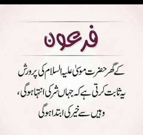 Firaoon
#EagleOfIslam