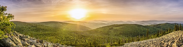 Hiermit wollen wir Sie auf die FGG-Exkursion ins Eisensteiner Hochtal vom 1.-4. Oktober 2022 aufmerksam machen. Entdecken Sie mit uns den #Nationalpark Bayerischen Wald und somit den einzigen deutschen #Urwald.

Die Anmeldung erfolgt unter: uni-frankfurt.de/112002417/Exku…
