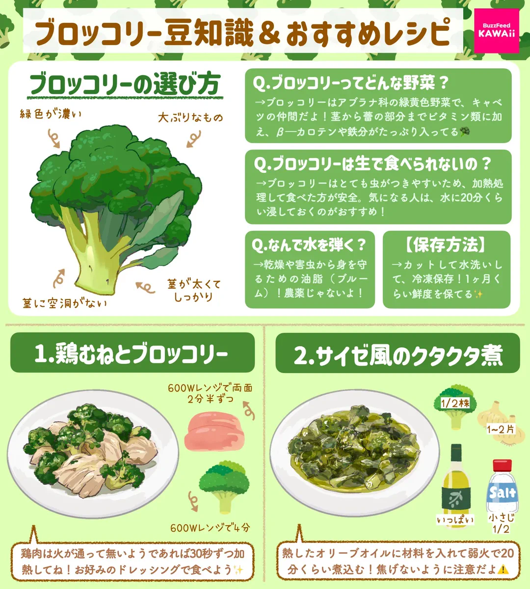 ブロッコリー好きさん必見！ブロッコリーの豆知識&簡単お手軽レシピ！