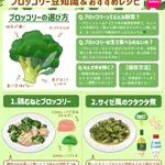 ブロッコリー好きさん必見!ブロッコリーの豆知識&簡単お手軽レシピ!