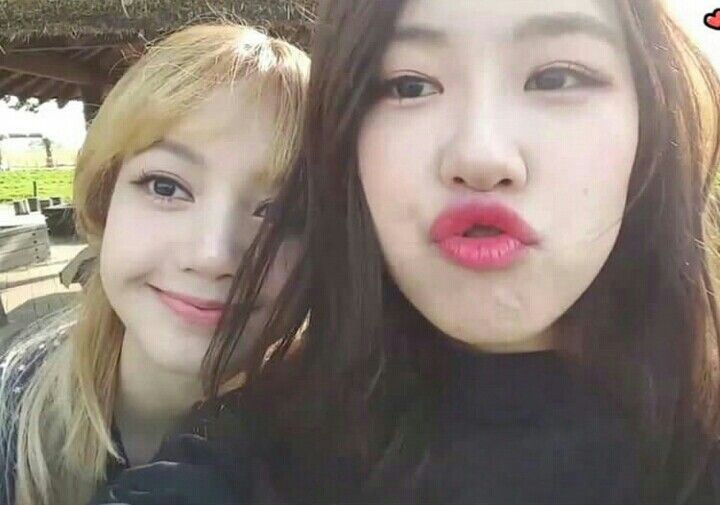 _ihnyt's tweet photo. Love 🥀
#Rosé
#Lisa
#ChaeLisa 
#Lichaeng
#ihnyt https://t.co/GifVB1vskF