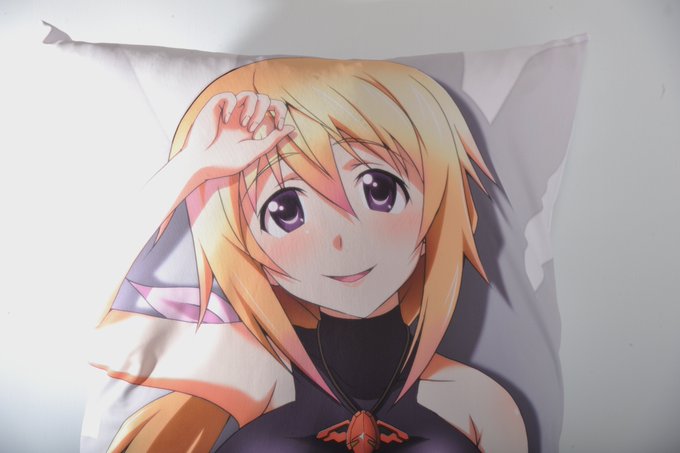 何に使う写真を撮影しているのかはその内に

とりあえず準備良さそう 