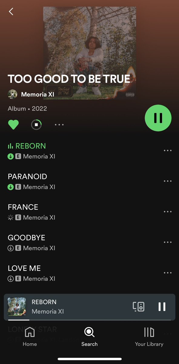 moments before crazy stuff goes down