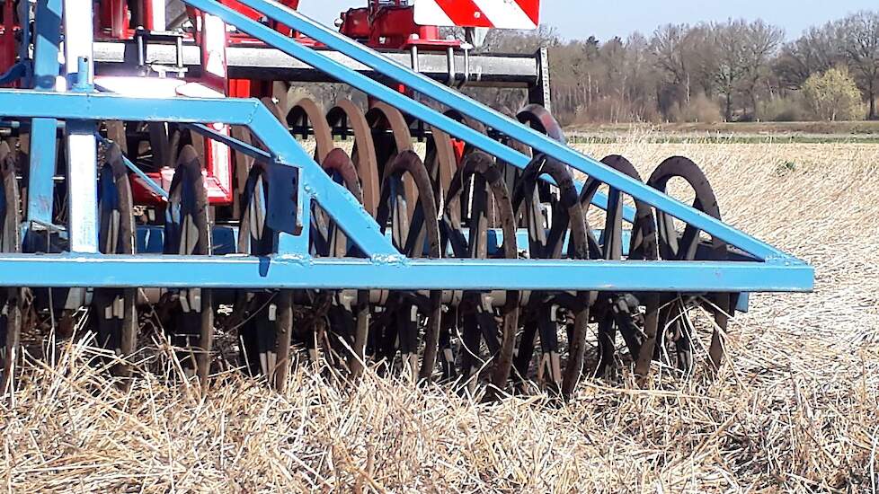 #fotoserie 📸| Deelnemer Jan Kersten uit Nieuw-Dordrecht werkte afgelopen week een proefperceel met tagetes (afrikaantjes) onder. Kersten teelde de tagetes om af te komen van alen in zijn grond.

👉 Lees het volledige artikel in de <a href="/de_veldpost/">Veldpost</a>  bit.ly/3Lkjk6l