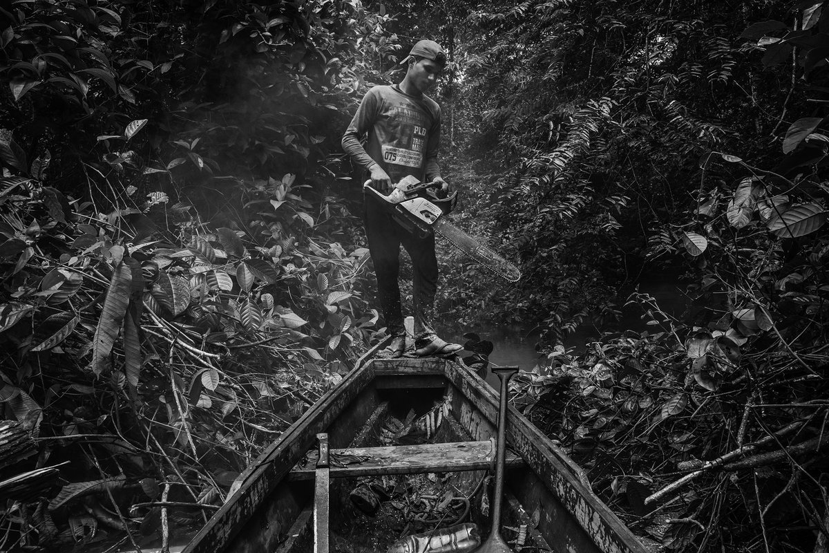LaVanguardia's tweet photo. La selva amazónica bajo amenaza por la deforestación, la minería y la explotación de otros recursos.

📸 Lalo de Almeida / Folha de São Paulo, Panos Pictures https://t.co/aEwetlBs6n