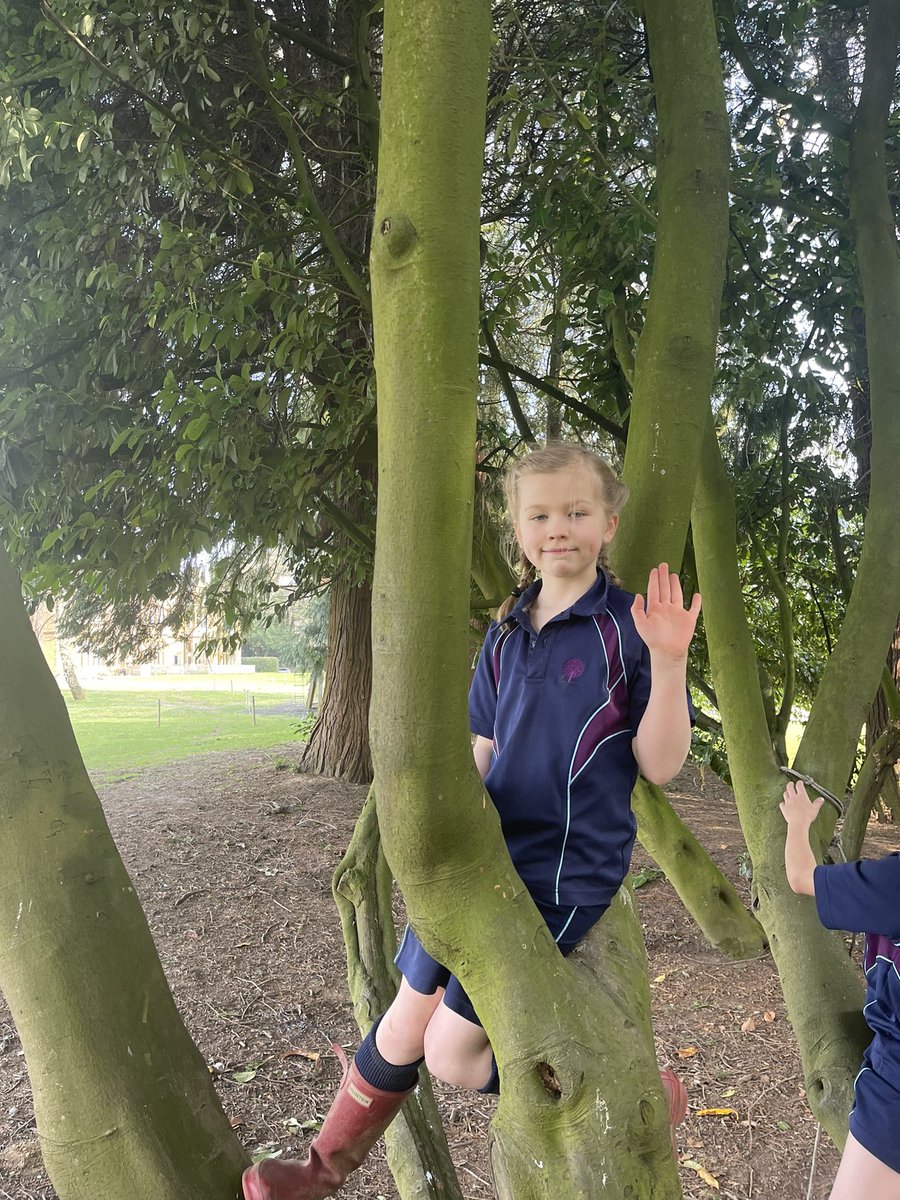 CarrdusYear4's tweet photo. Year 4 have thoroughly enjoyed the sun at break times this week, allowing us to bring out our inner monkeys! #climbing #springtime https://t.co/vv3IC0kiXy
