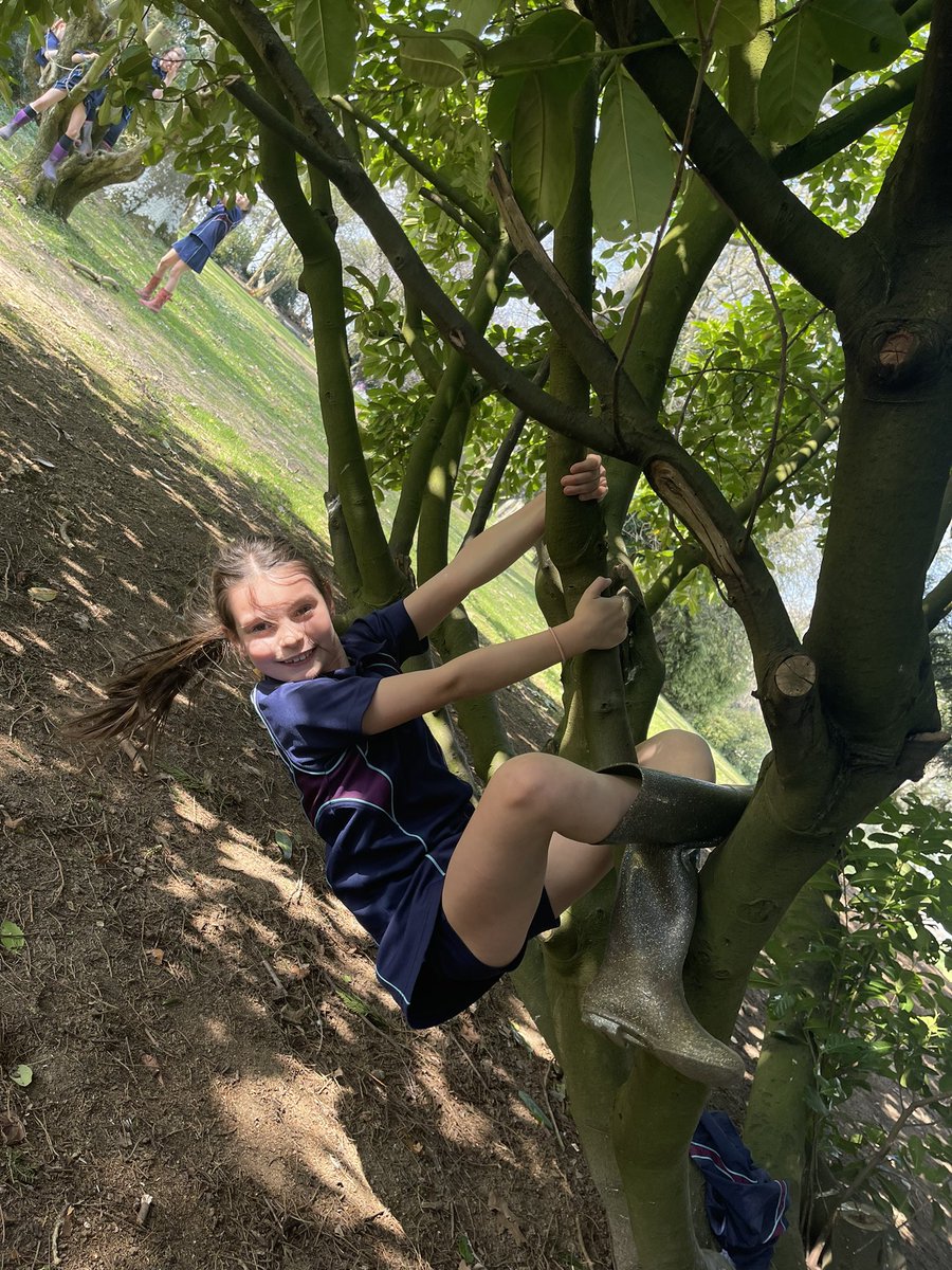 CarrdusYear4's tweet photo. Year 4 have thoroughly enjoyed the sun at break times this week, allowing us to bring out our inner monkeys! #climbing #springtime https://t.co/vv3IC0kiXy