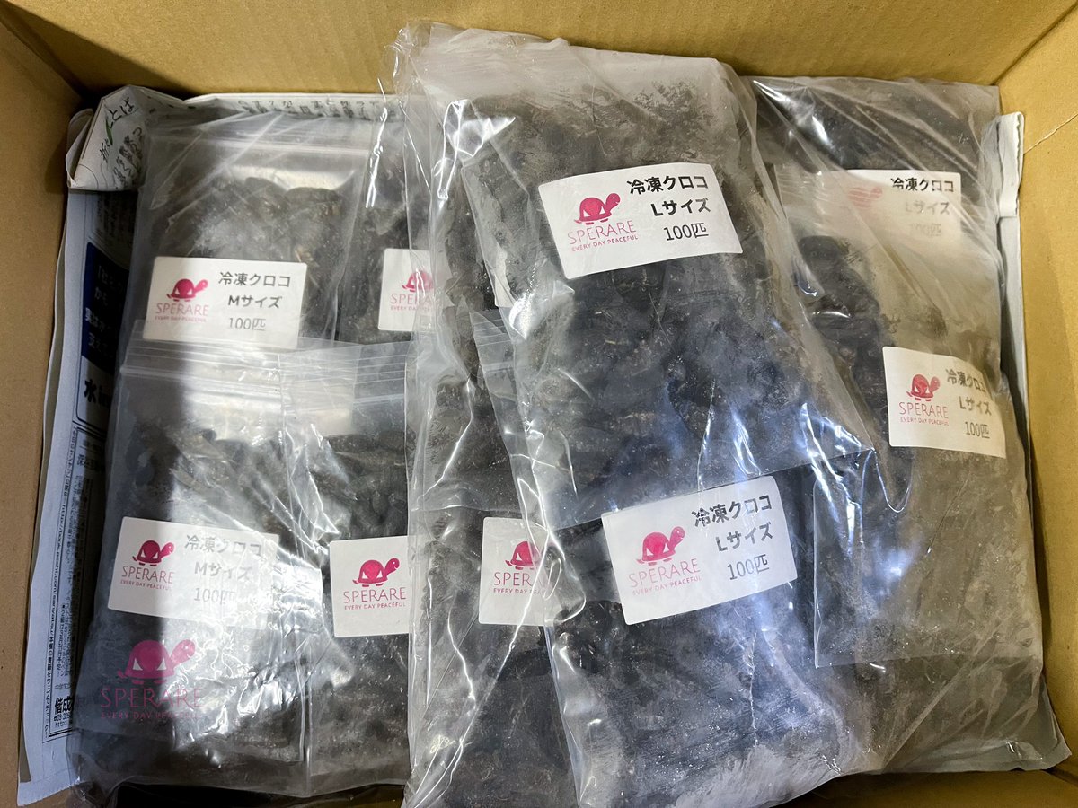 REP_SPERARE's tweet photo. 本日の営業は終了です。
いつもご注文頂きありがとうございます😊🙇♂️
明日は1日雨模様になりそうですね☔️
週末も宜しくお願い致します。
#爬虫類餌
#爬虫類餌通販
#冷凍コオロギ🦗
#冷凍イエコ
#冷凍クロコ
#冷凍デュビア
#MonitorFeed
#モニターフィード
#Repfeed
#レプフィード https://t.co/CXtUfhDLKr