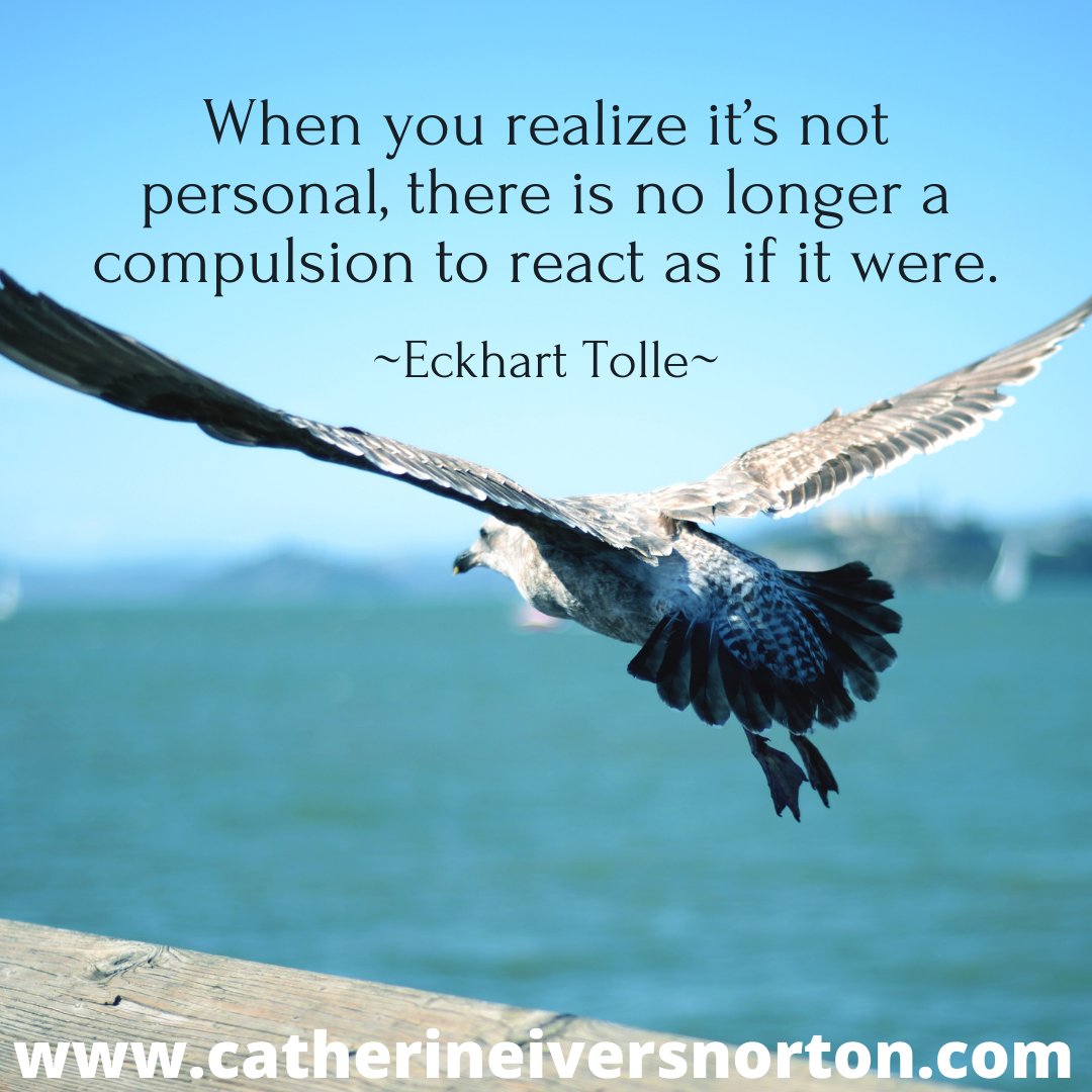 Freedom is claimed in the moments when someone is trying to pull us into their storm, and we pause, remember our wings, and fly away. 
My blog: catherineiversnorton.com/blog
#ReadTheStain #writer #writing #blogger #peace #boundaries #nonreactivity #psychology #relationships #awareness