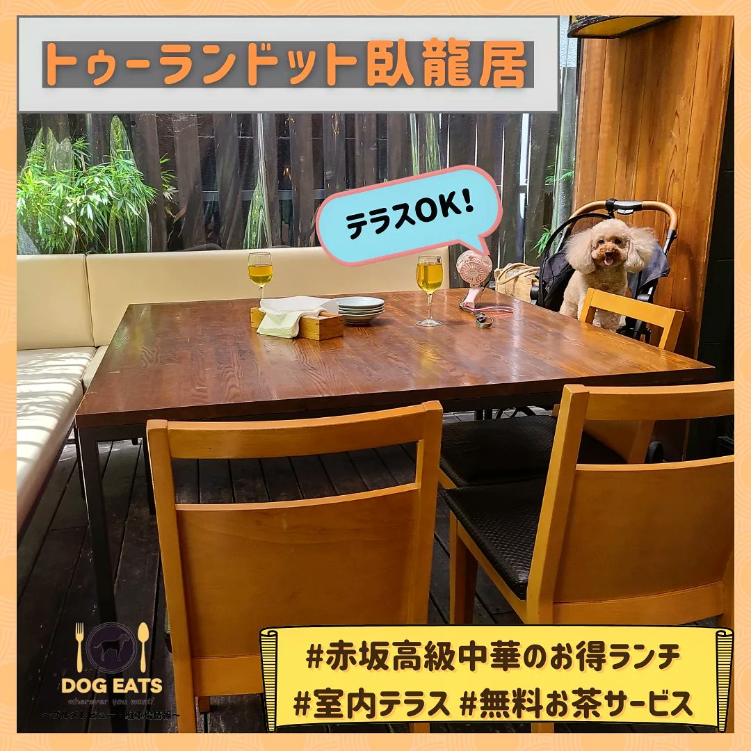 Dog Eats Tokyo Dogeatstokyo1 Twitter