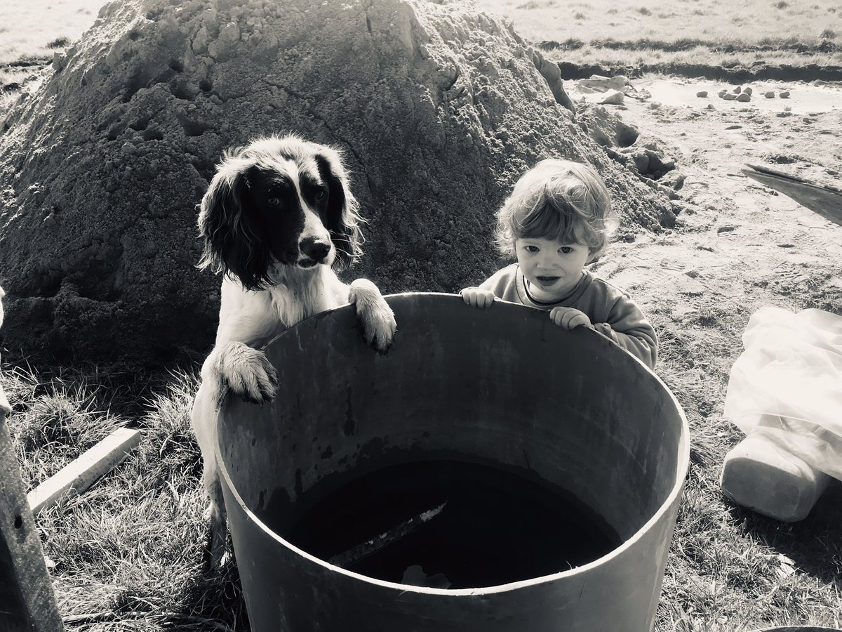 Shane Birdy (@birdyvideo) on Twitter photo 