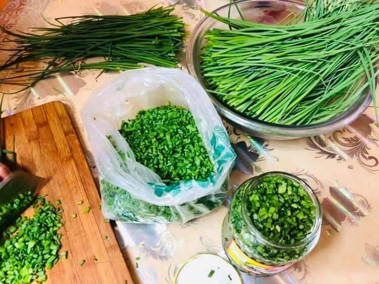 Энэ хавраас зун намар хүртэл хүн бүр ургаж болох хүнсний ногоо жимс эрвийх дэрвийхээрээ тарьж ургуулж хурааж нөөцөлсөн нь дээр байх шүү ..юм юм л дуулддаг боллоо Доорхи манай гэрийн жор