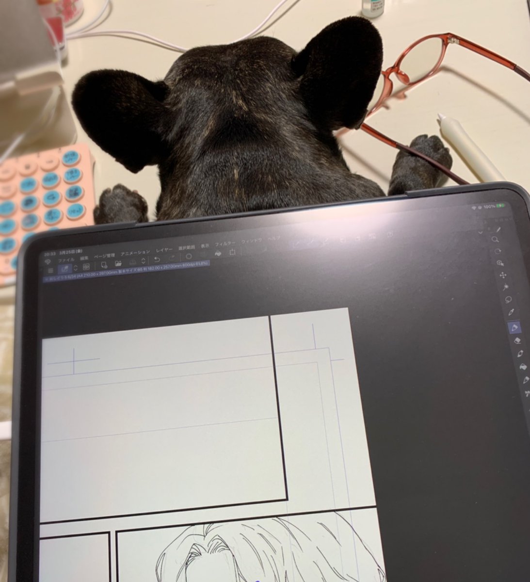 阿部あかねさん Akanebosuke のカレンダー ブログ形式twitter Meyou ミーユー