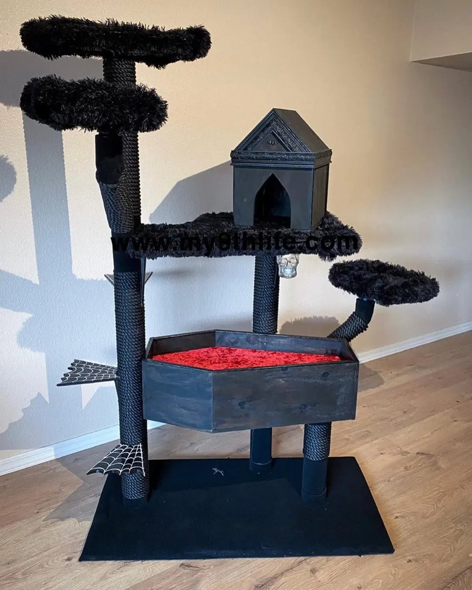 SpiralDirect's tweet photo. All cats deserve their own spooky mansion 🦇
📷my9thlifellc
#cattrees #gothqueen #girlswhobuild #ogdesign #gothlove https://t.co/XzFPeUwFst
