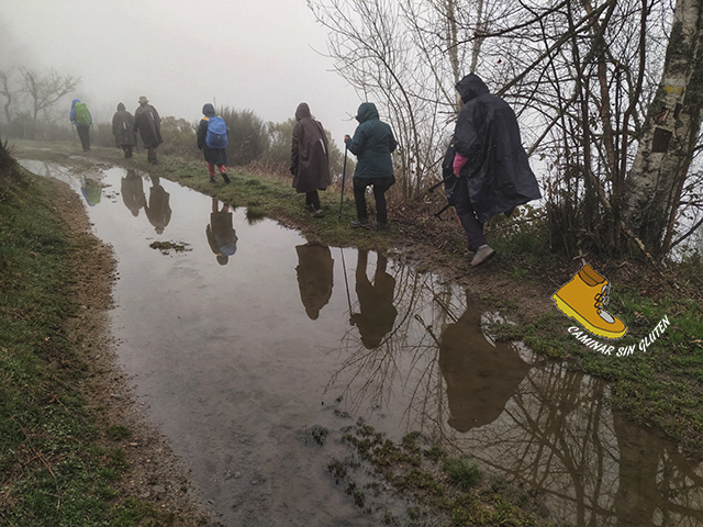 🆕Viaje al Paraíso Celiaco de Cangas del Narcea. Disfrutando del #senderismo #gastronomía #singluten #naturaleza #vida durante 6 días de <a href="/Celicidadsinglu/">Celicidad</a>  caminarsingluten.com/2022/03/viaje-…