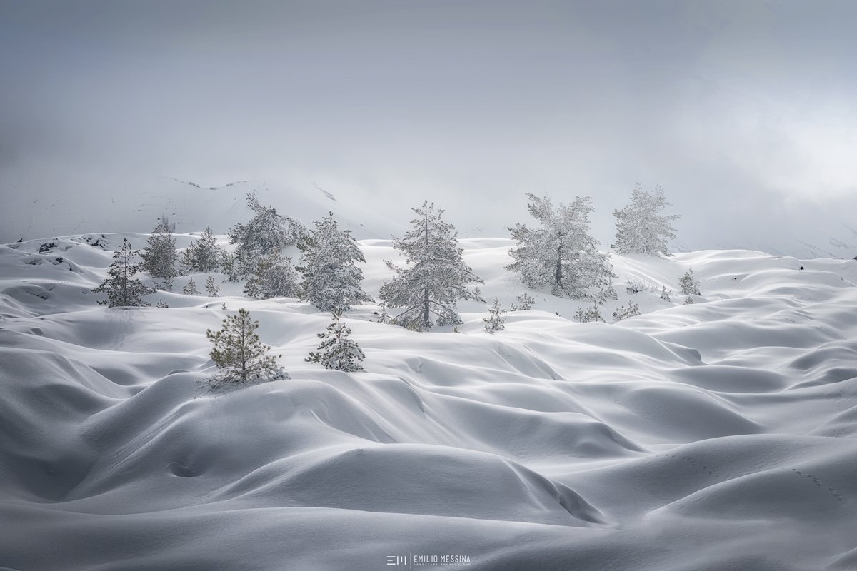 VjKar's tweet photo. Etna #volcano, not only #eruption. The soft snow dunes covers the lava rock on the north side. #sicily #nft #nfts #nftphotography #landscapephotography #nftcommunity #nftcollector #opensea #superrare #cryptoart #nftartist #etna #snow #winter https://t.co/muQodtiLTS
