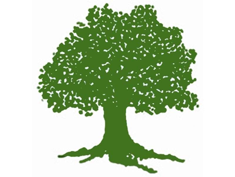 चुनावी तालमेल मानिदैन , रुख चिन्ह भन्दा अन्त भोट हालिदैन ।

  जय नेपाल ,जय कांग्रेस