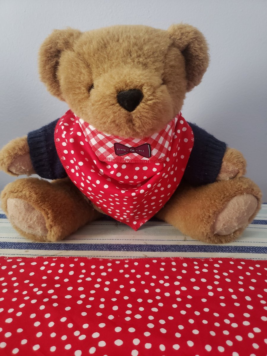 We can bearly hold our excitement about our pet bowties and bandanas!
Need pet fashion? Contact us! 

#tiemyknot #petfashion #charlottenc #dog #cat