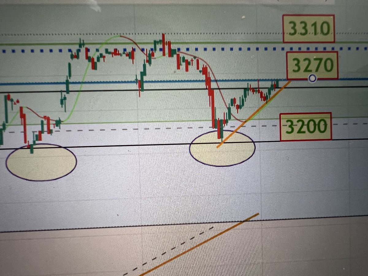 Traderico 🔕 tweet media