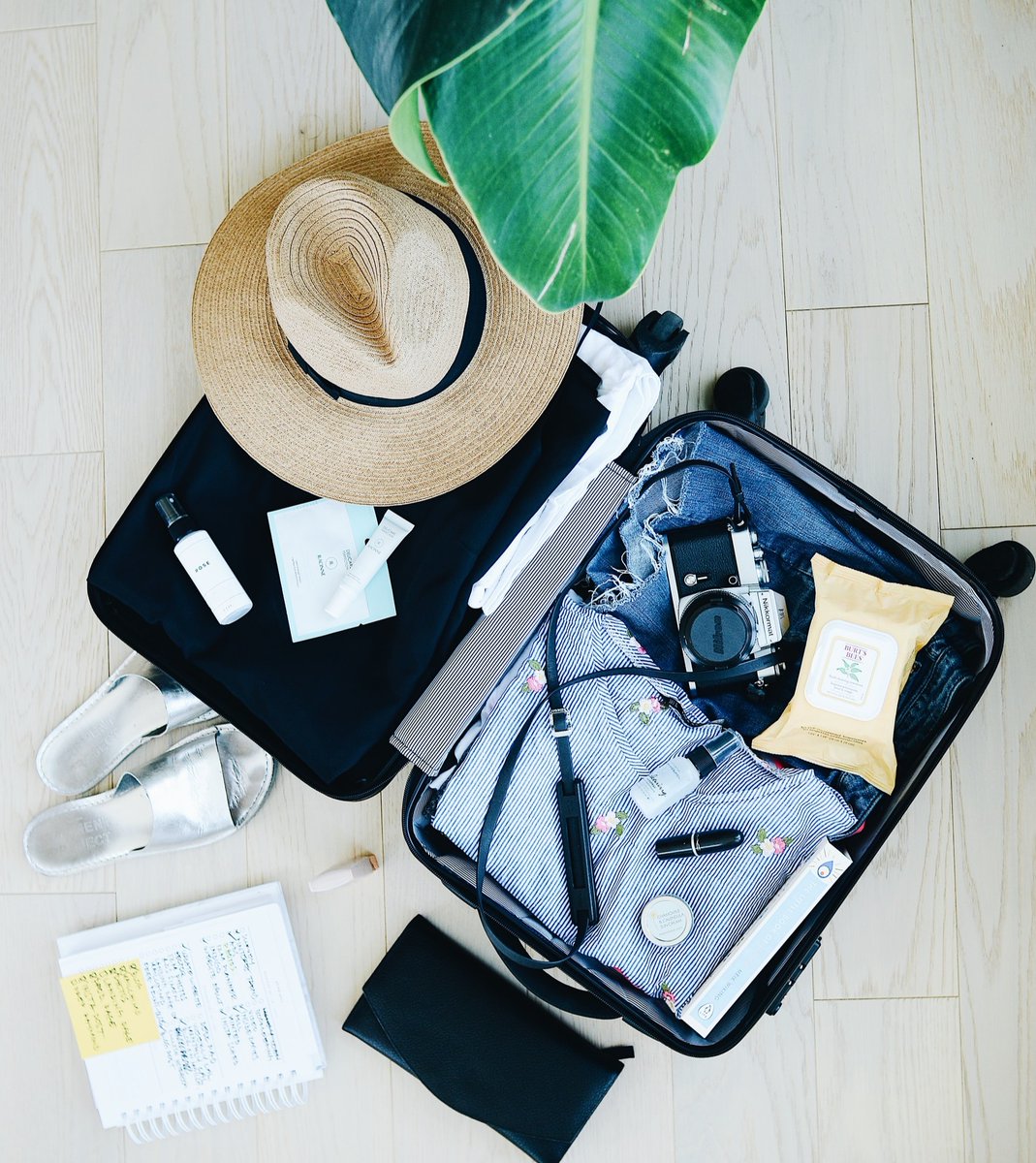 caregogi's tweet photo. Are you worried about bringing your senior on vacation with you? Don't be! Check out these 6 tips for peace of mind while traveling in our blog.

#Caregogi #FindACaregiver

https://t.co/U5aJ7go3aN https://t.co/T9MmDIX6AU