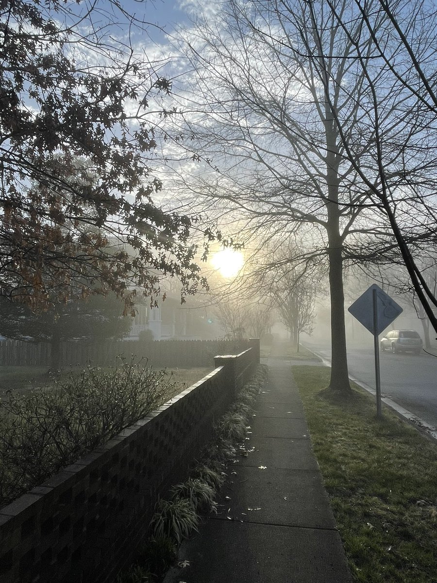 garthmoore's tweet photo. Morning fog in #RiverdaleMD #dcweather @capitalweather https://t.co/X2TvRZCAxz