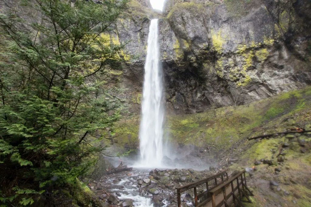 How to hike to Elowah Falls and Upper McCord Creek Falls: bit.ly/Elowah_McCord 

#TravelOregon | #PNW  | #Travel
