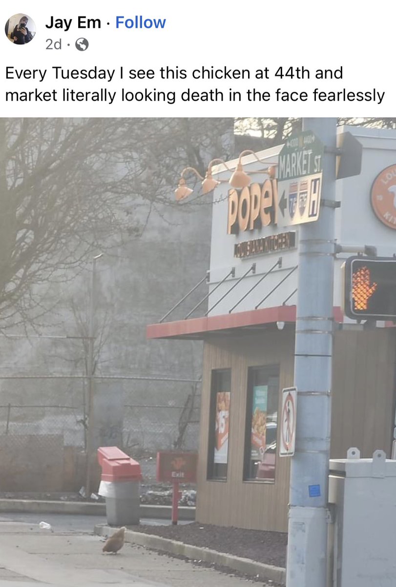 This chicken has true Philly energy