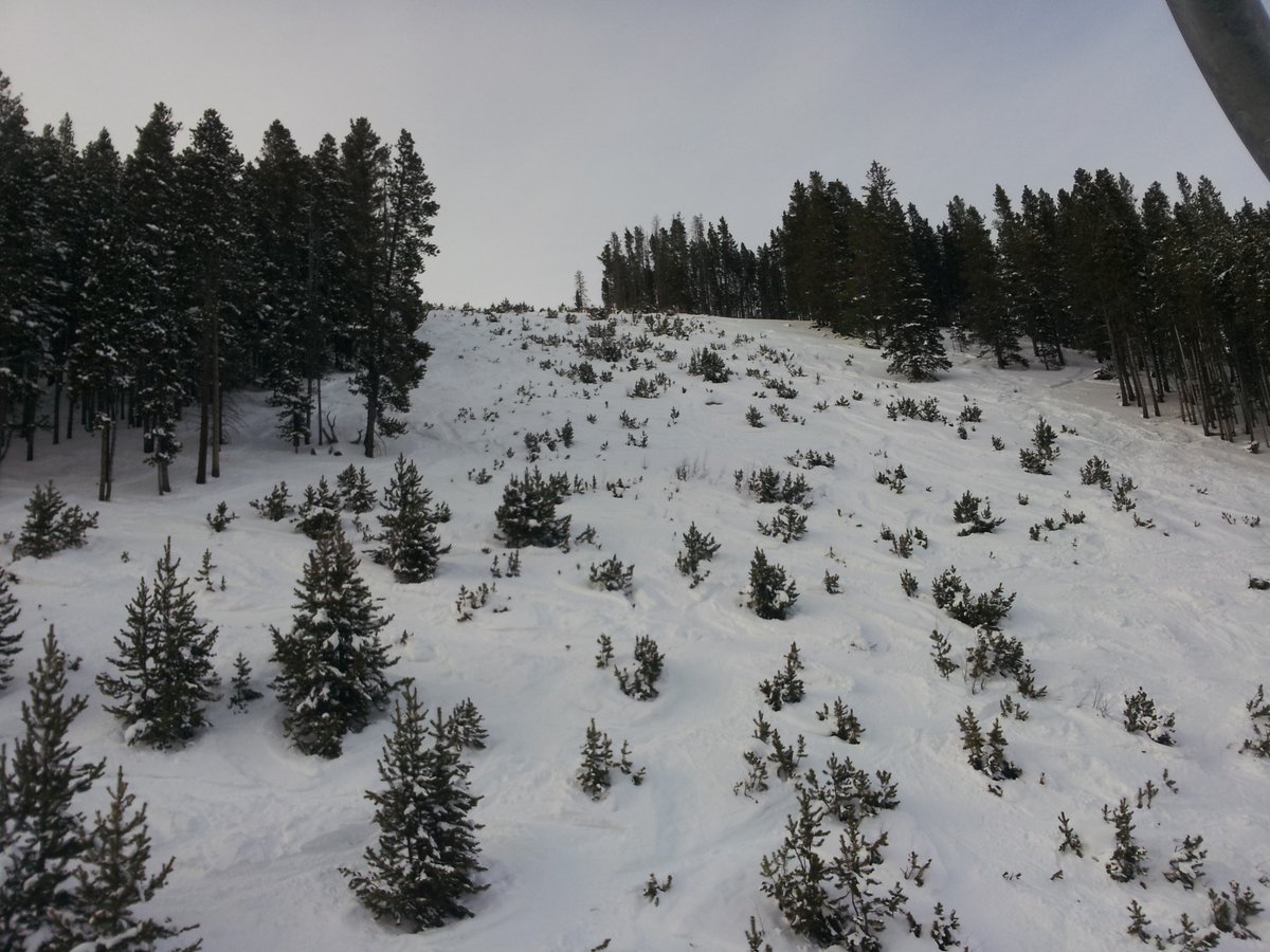 glowingnfts's tweet photo. Snow
https://t.co/KeAbwa7EyB via @opensea https://t.co/Yvybg1YDjg
