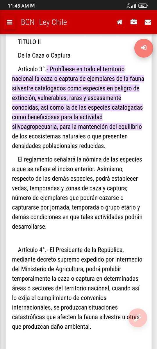 camilomusico's tweet photo. @llostra1982 @sagchile @Carabdechile @osorno @MinagriCL @MinagriLosLagos Me encontré esto. Por lo que entiendo debes identificar la especie para luego ver si está dentro de una de esas clasificaciones. Aunque creo que hay casos donde gente autorizada cuida algunos animales que no lograron ser reinsertos en su hábitat natural. https://t.co/jMrF8dCIVS