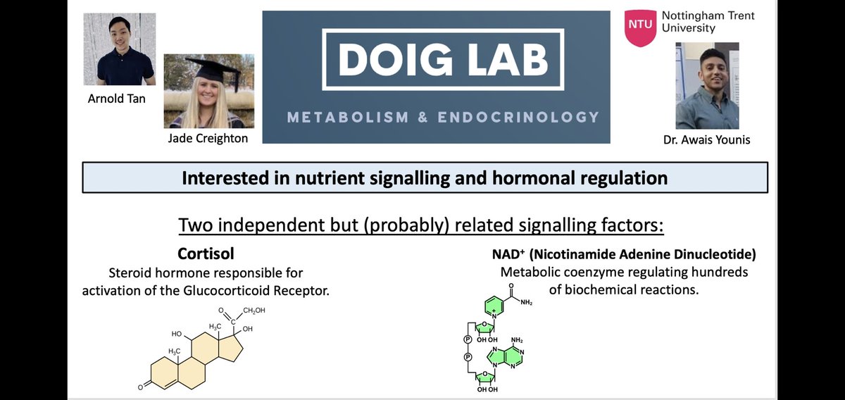 Brendan Gabriel tweet media