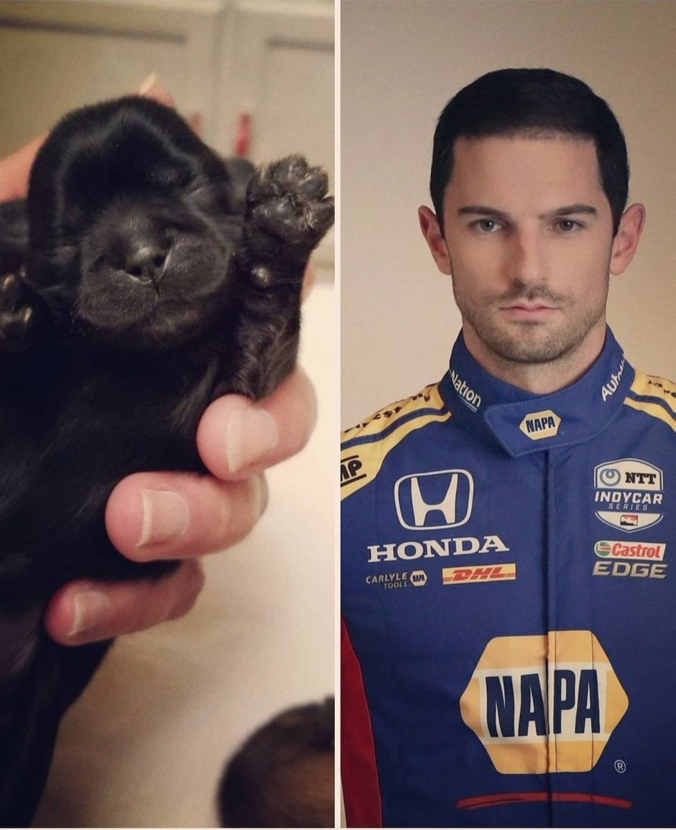 ThompsonMakena's tweet photo. @marshallpruett These are our dogs Rossi ( @AlexanderRossi ) and Rudi ( @NotreDame ) https://t.co/Q5Oxhqo26r
