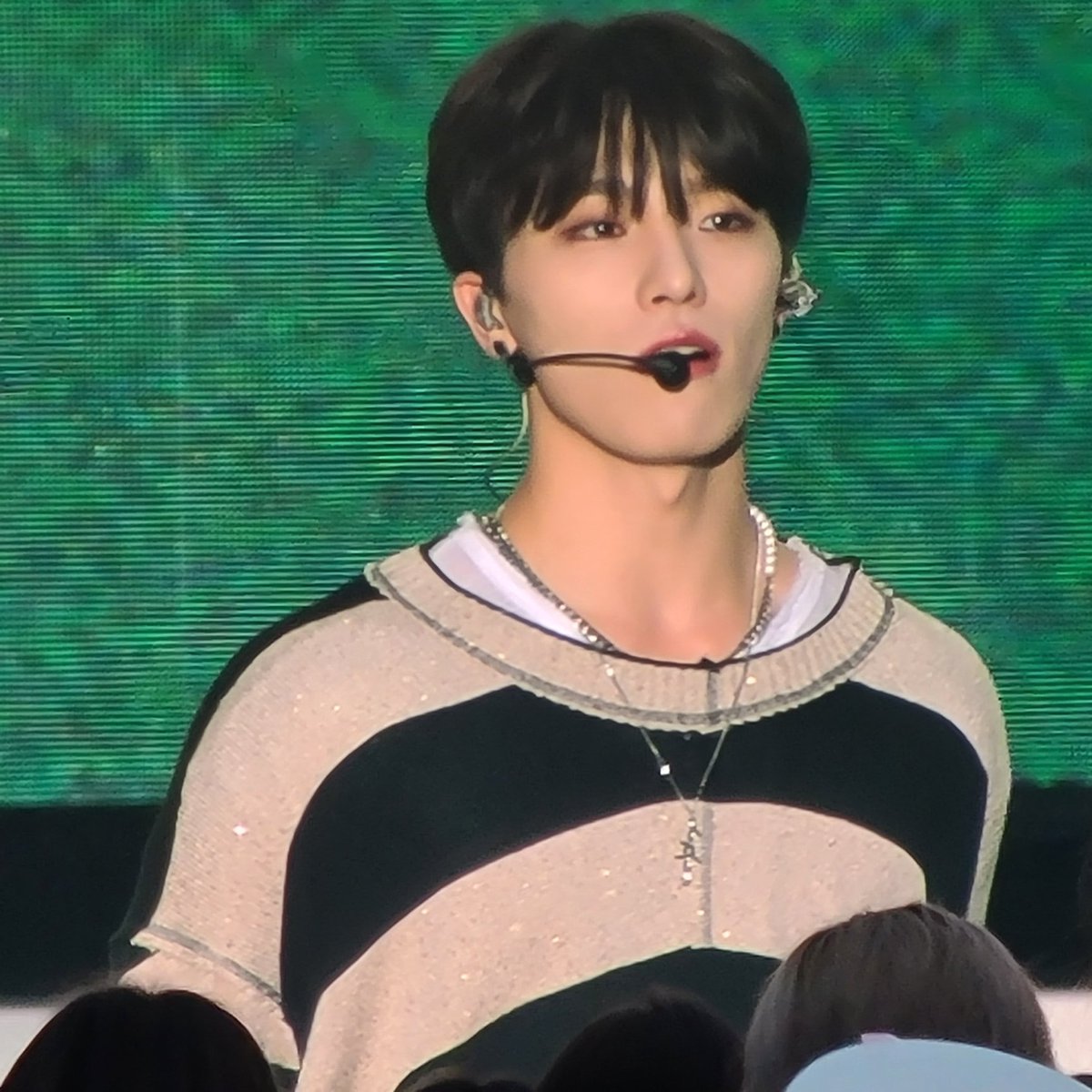 짱수수돌고래 tweet media