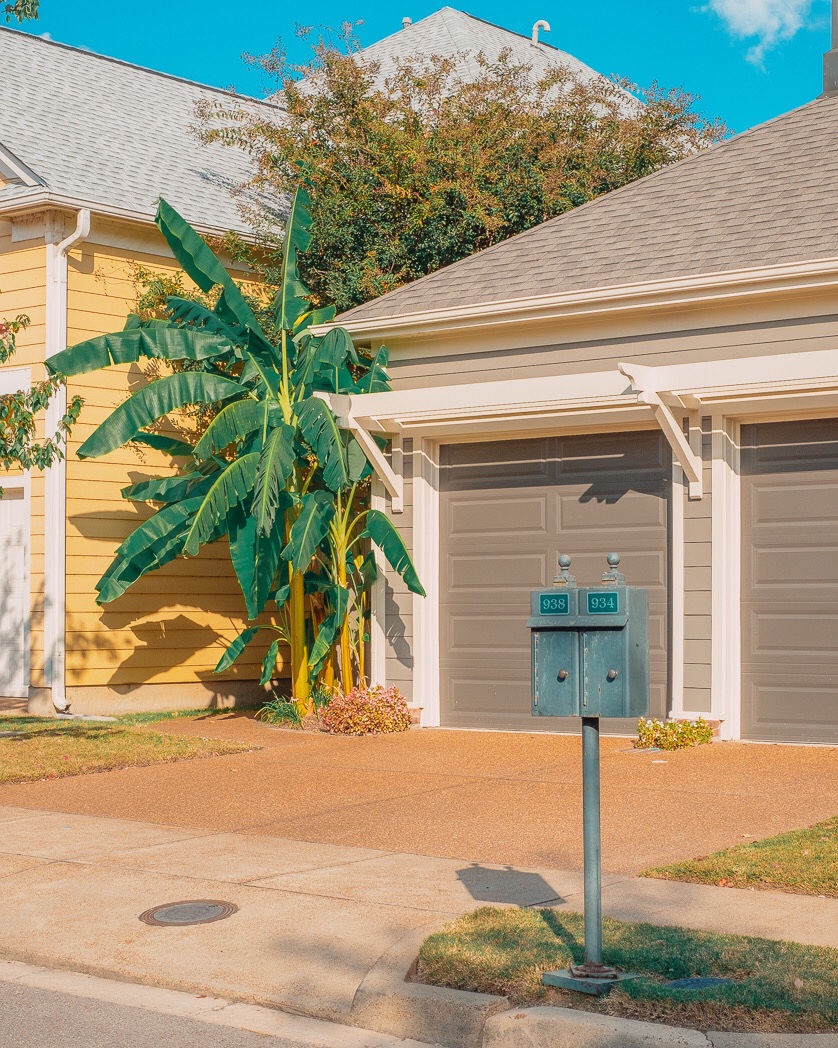 scottenlowphoto's tweet photo. @_vinpuc https://t.co/RFtyGJtXER