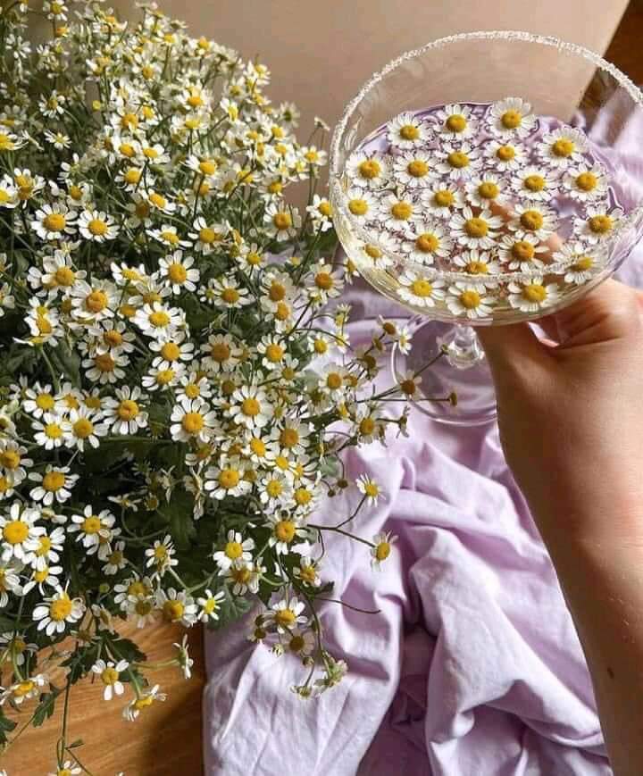 ‏ْ (@piinkifairy) on Twitter photo 